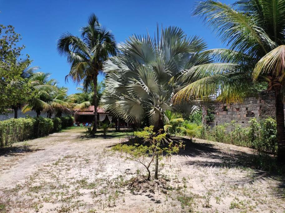 Casa Cumuruxatiba, Natureza E Charme Exterior foto